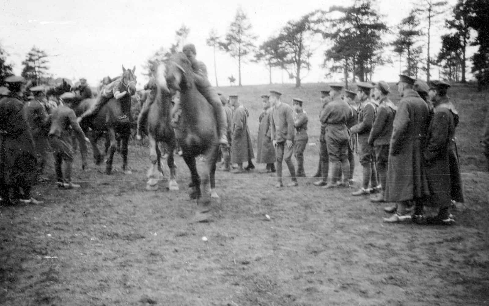 22.-Horse-Racing-Witley-Camp-May-1916