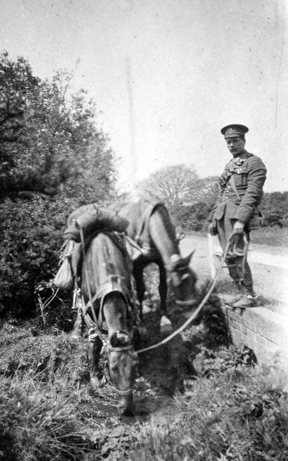 25.-Horse-and-Soldier-Witley-Camp-June-1916
