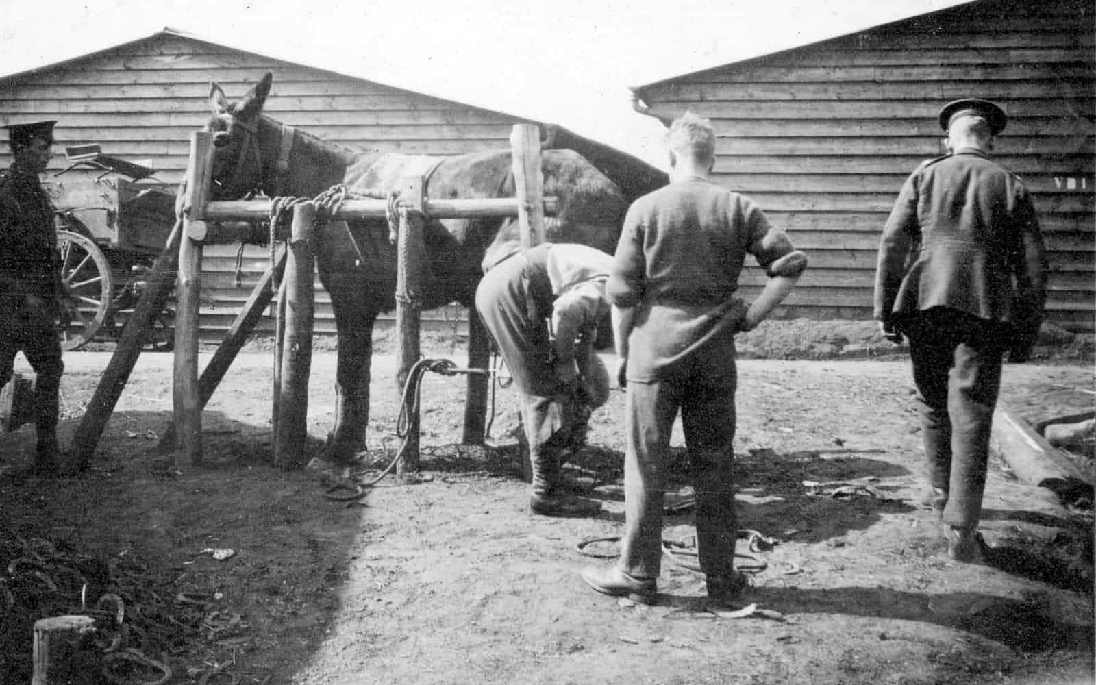 26.-Horse-Stables-Camp-Witley-June-1916