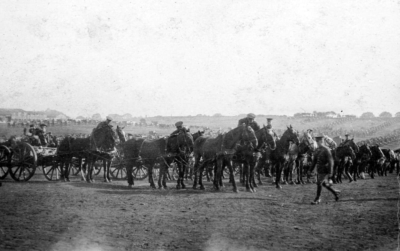 30.-Horses-and-the-Guns-June-1916